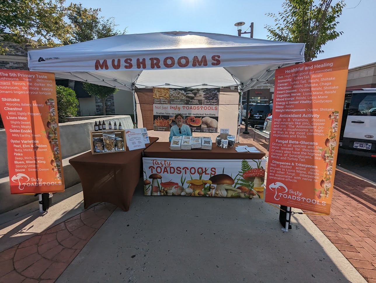 Einstein - Lions Mane Organic Medium Roast