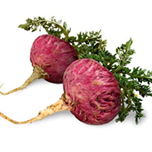 Tincture: Bullet Proof