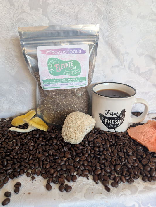 🌱 ELEVATE — Organic Decaf French Roast Mushroom Coffee